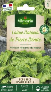 Laitue Batavia de Pierre Bénite - Légumes d'Autrefois